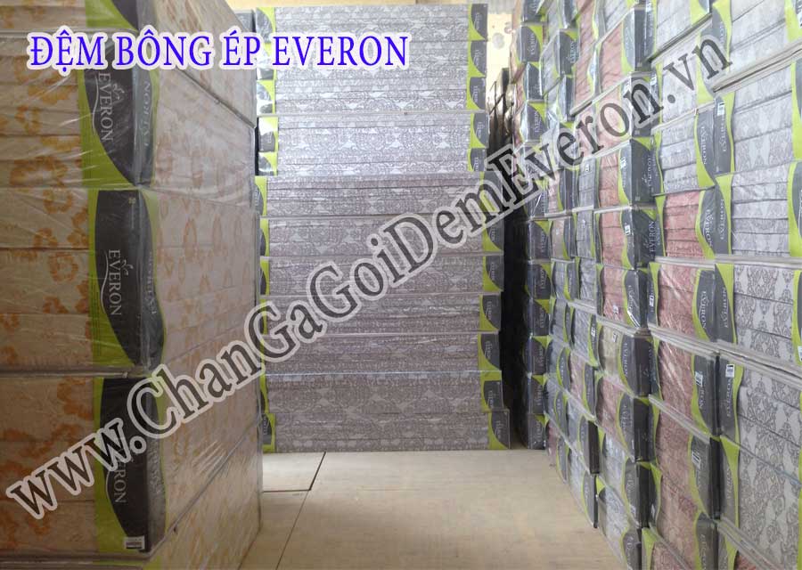 Đệm bông ép Everon